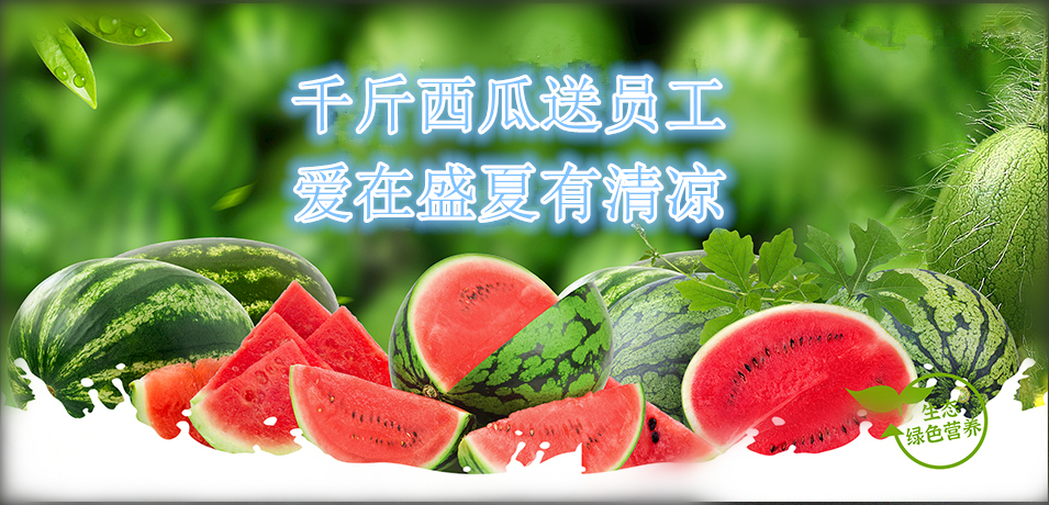 通達(dá)軟件公司： 千斤西瓜送員工，愛在盛夏有清涼